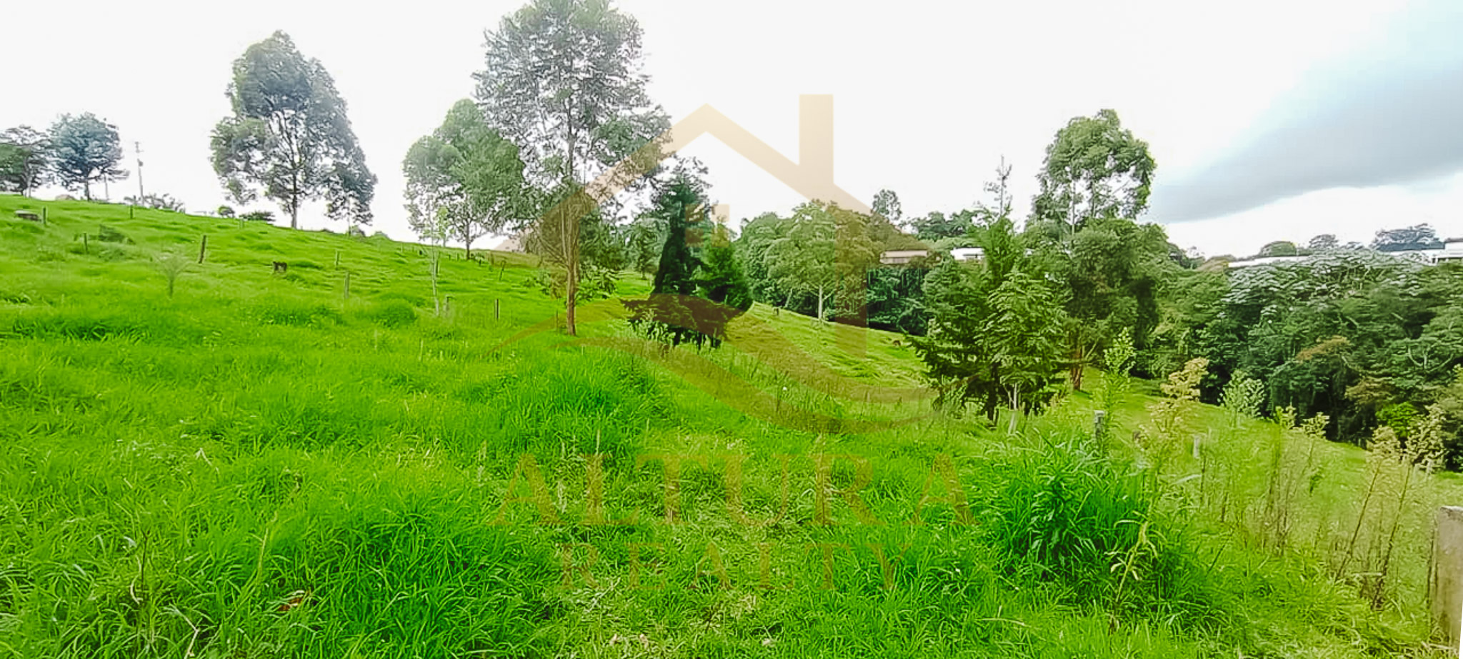 VENTA  5 LOTES  EN CIRCASIA QUINDIO (15.000 C/U)