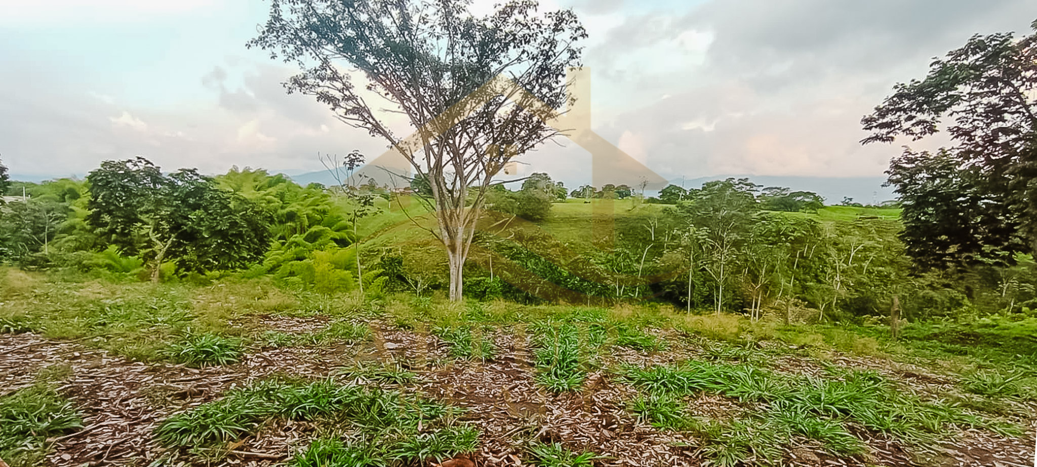 SE VENDE LOTE EN LA CRISTALINA CIRCASIA QUINDIO