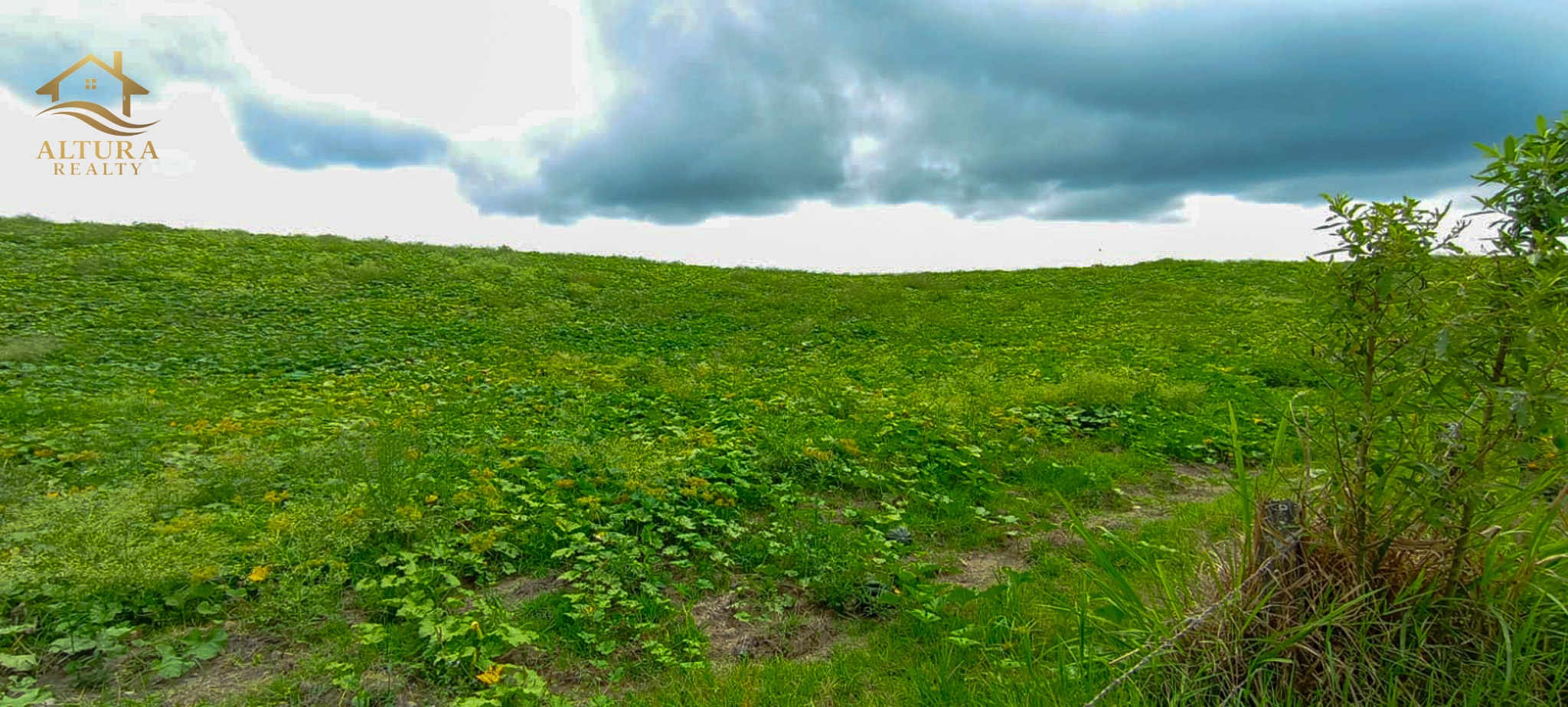 SE VENDE FINCA EN PUEBLO TAPAO QUINDIO,10 CUADRAS