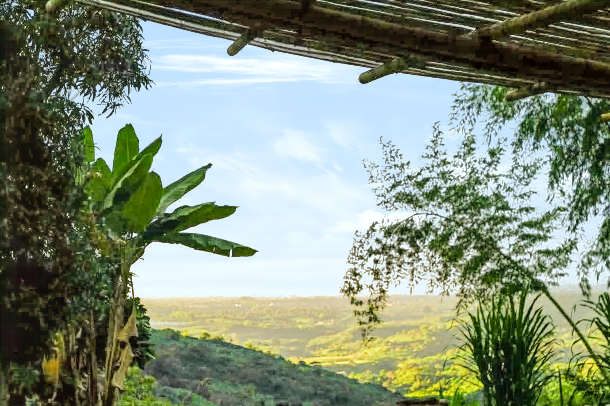 Huge Potential Finca between Quebrada Negra & Cordoba