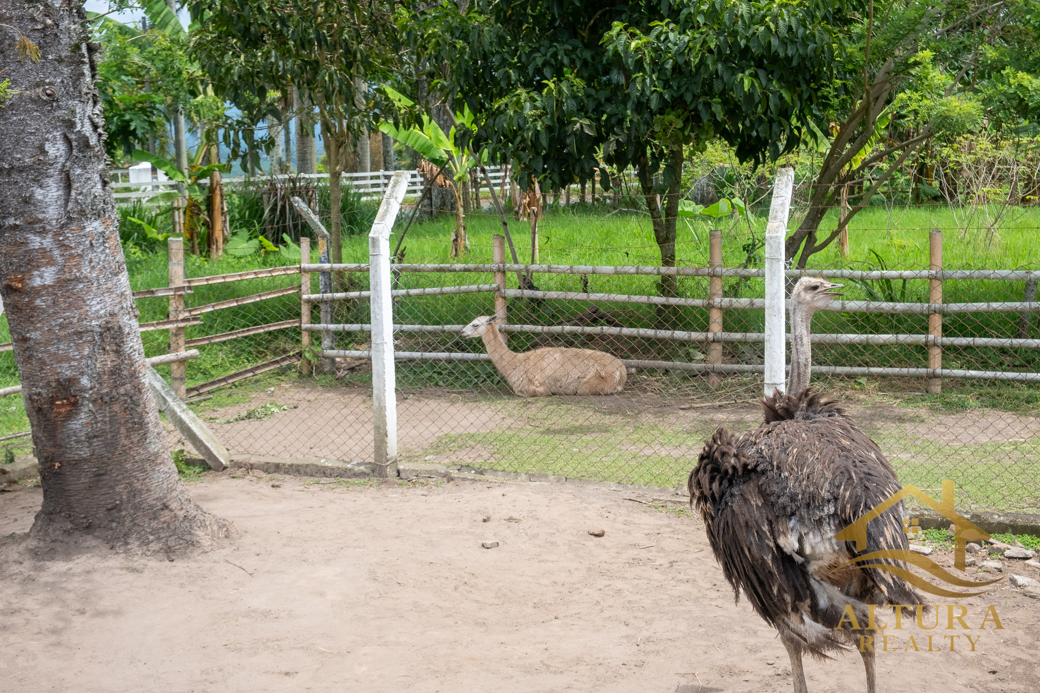 SE VENDE RESTAURANTE CON GRANJA TURISTICA CERCA AL PARQUE DEL CAFE