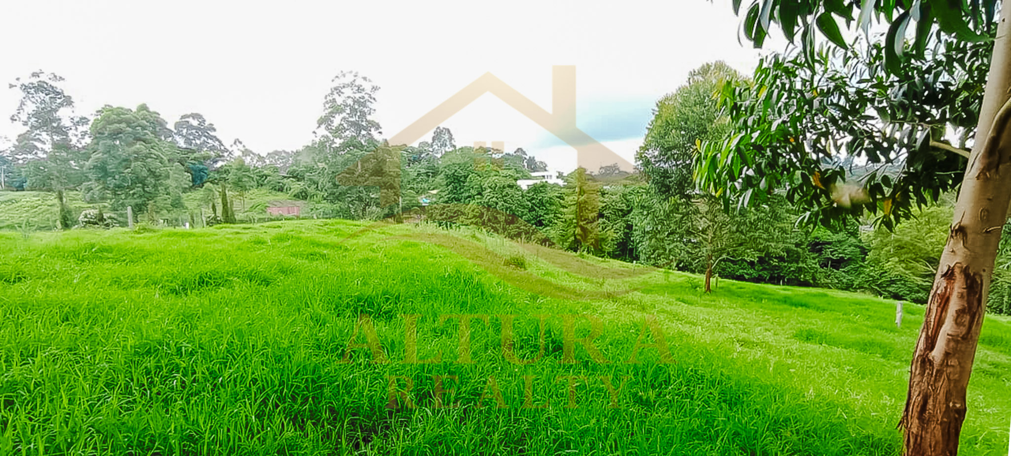 VENTA  5 LOTES  EN CIRCASIA QUINDIO (15.000 C/U)