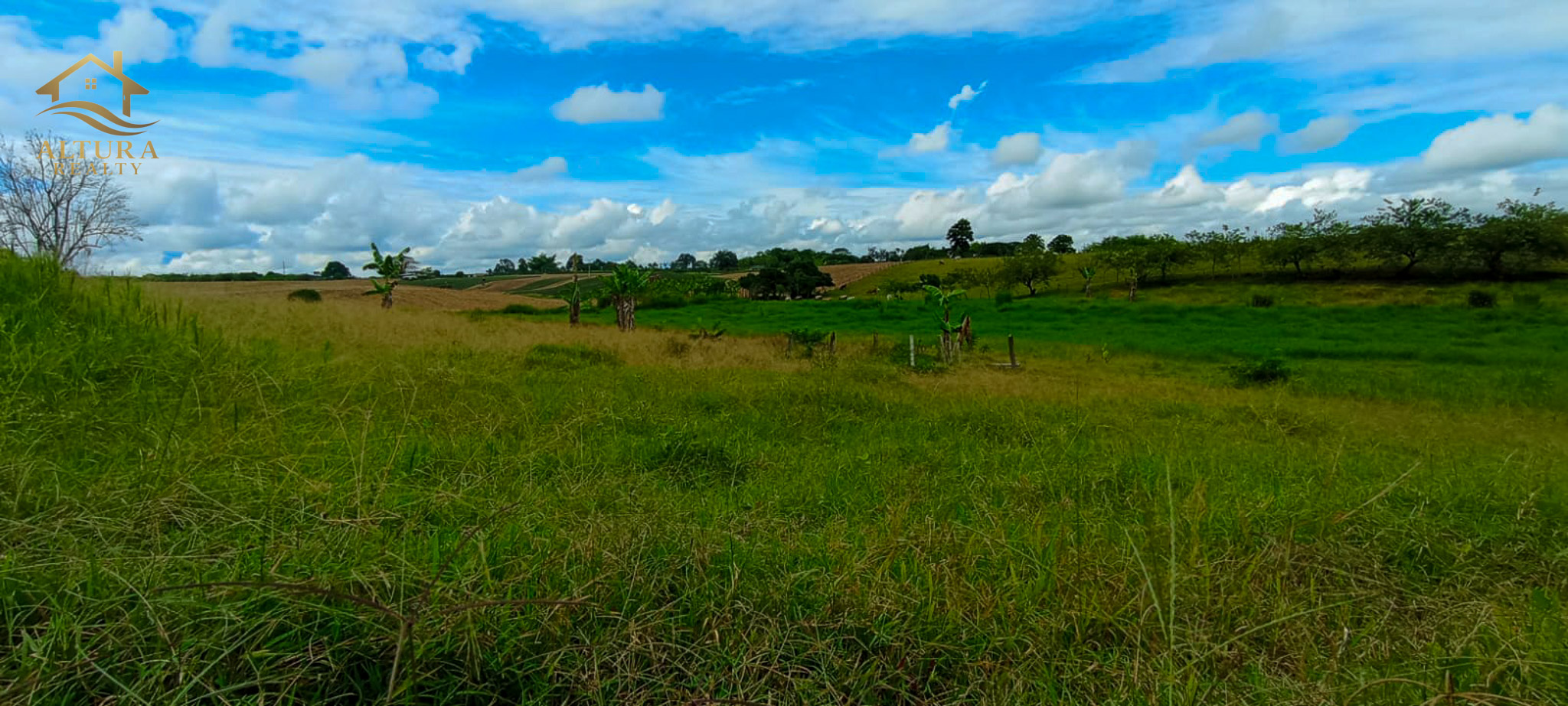 SE VENDE FINCA EN PUEBLO TAPAO QUINDIO,10 CUADRAS