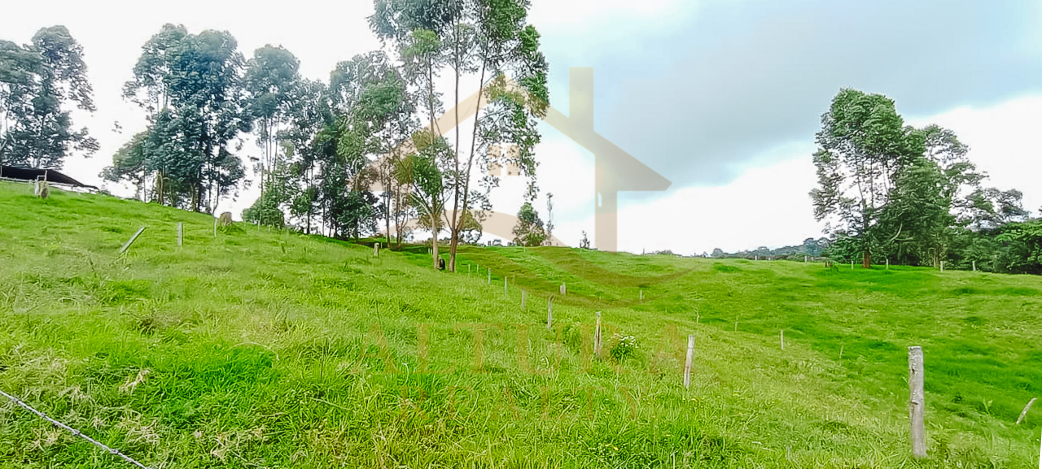 VENTA  5 LOTES  EN CIRCASIA QUINDIO (15.000 C/U)