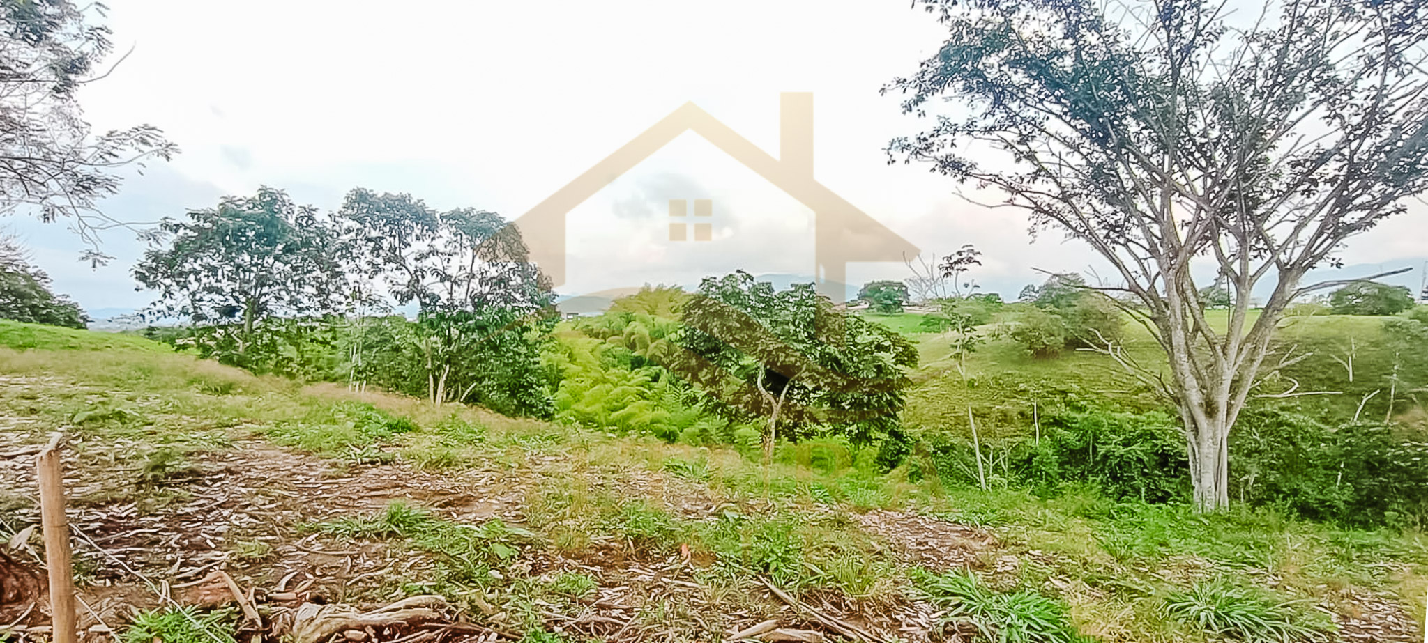 SE VENDE LOTE EN LA CRISTALINA CIRCASIA QUINDIO