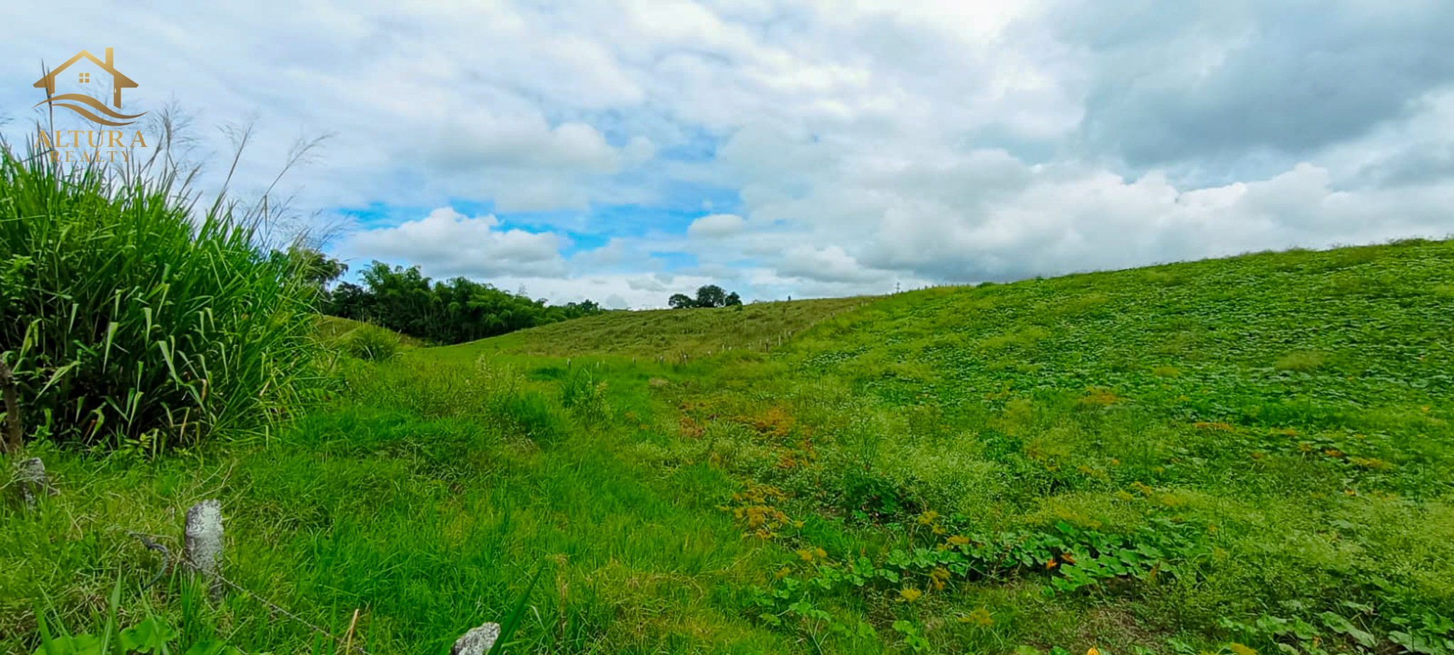 SE VENDE FINCA EN PUEBLO TAPAO QUINDIO,10 CUADRAS