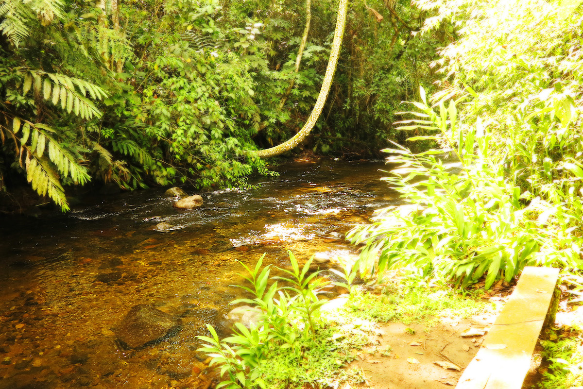 Oportunidad de Inversión en Eco-Lodge Frente al Río en Salento