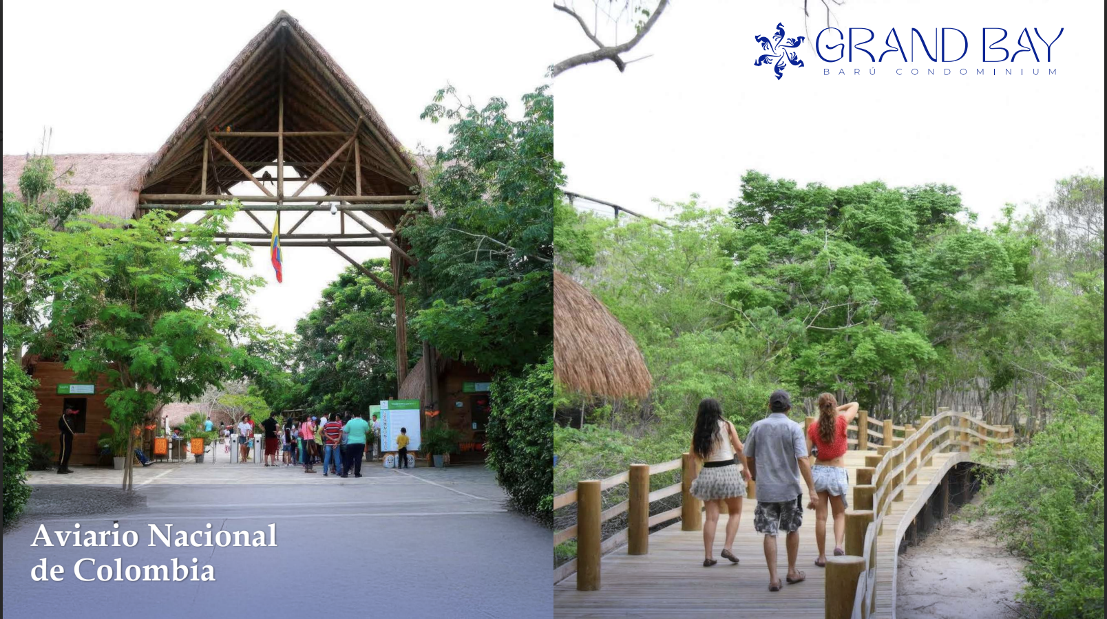 Grand Bay Barú Condominium