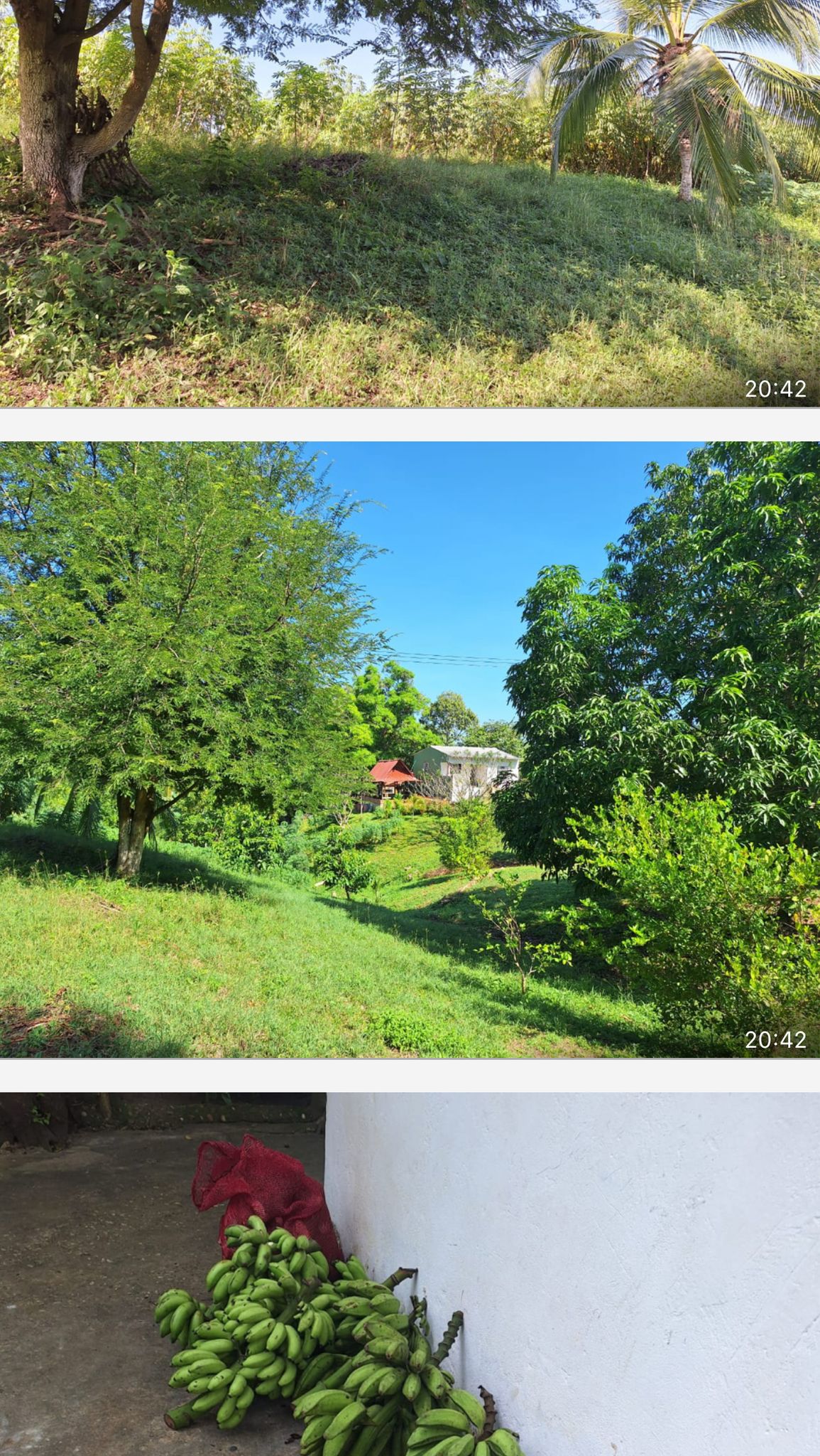 Proyecto internacional - Skyline Residences