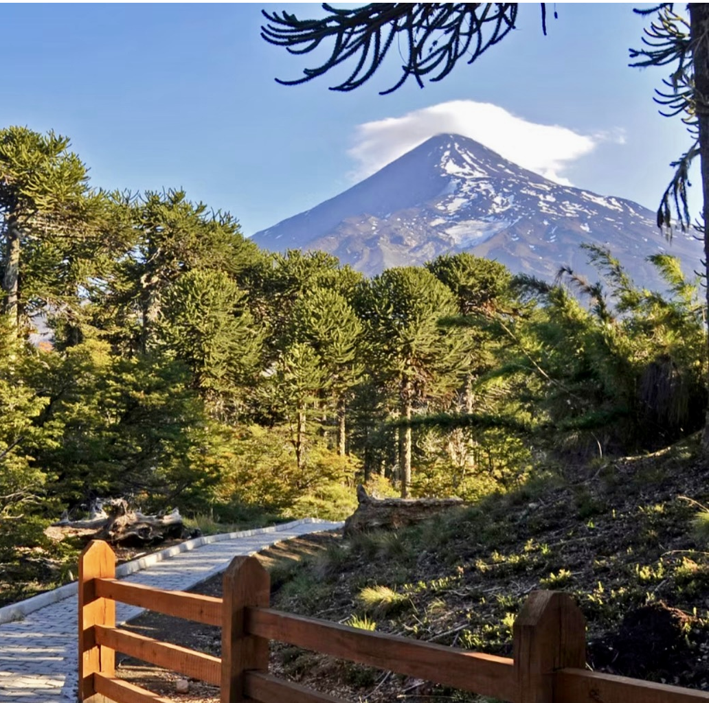 Parcela Pucon