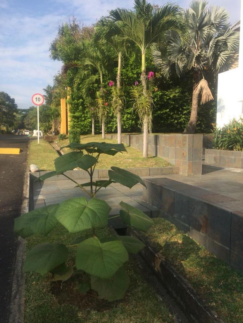 Casa en Vender en Cali