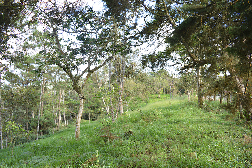 Lote en Vender en Yumbo