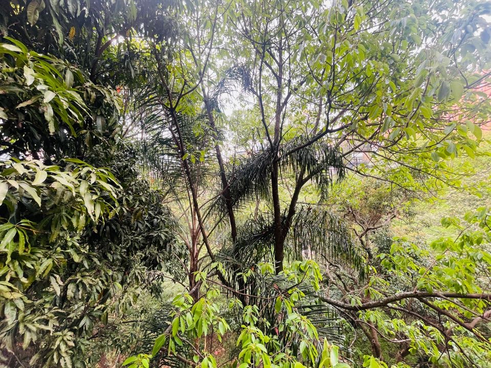 Apartaestudio para alquiler en Manila