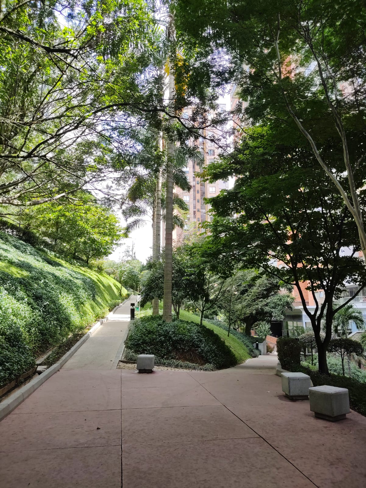 Apartamento en arriendo en castropol