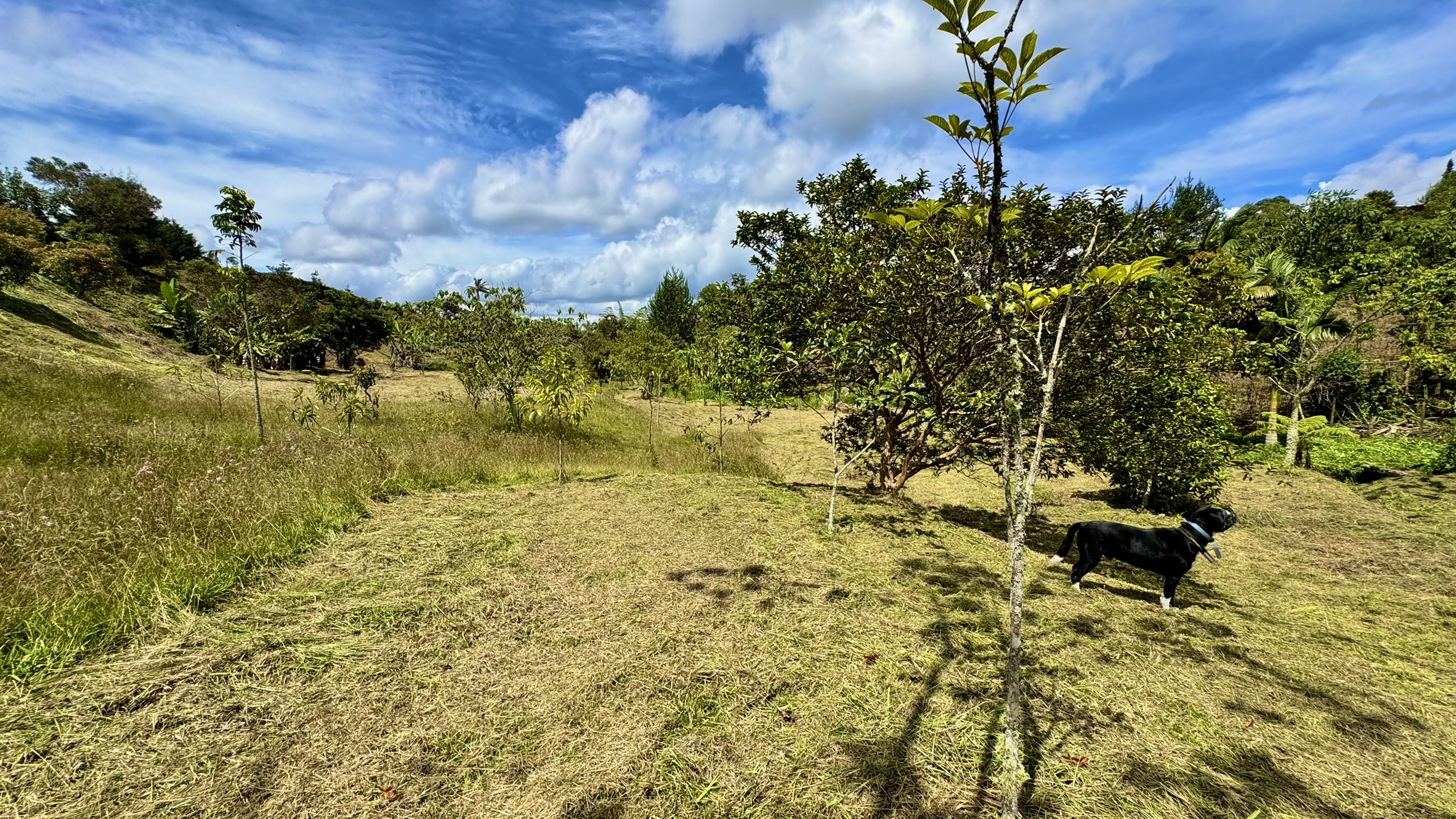 Lote en venta. Guarne, Vereda Juan XXIII.