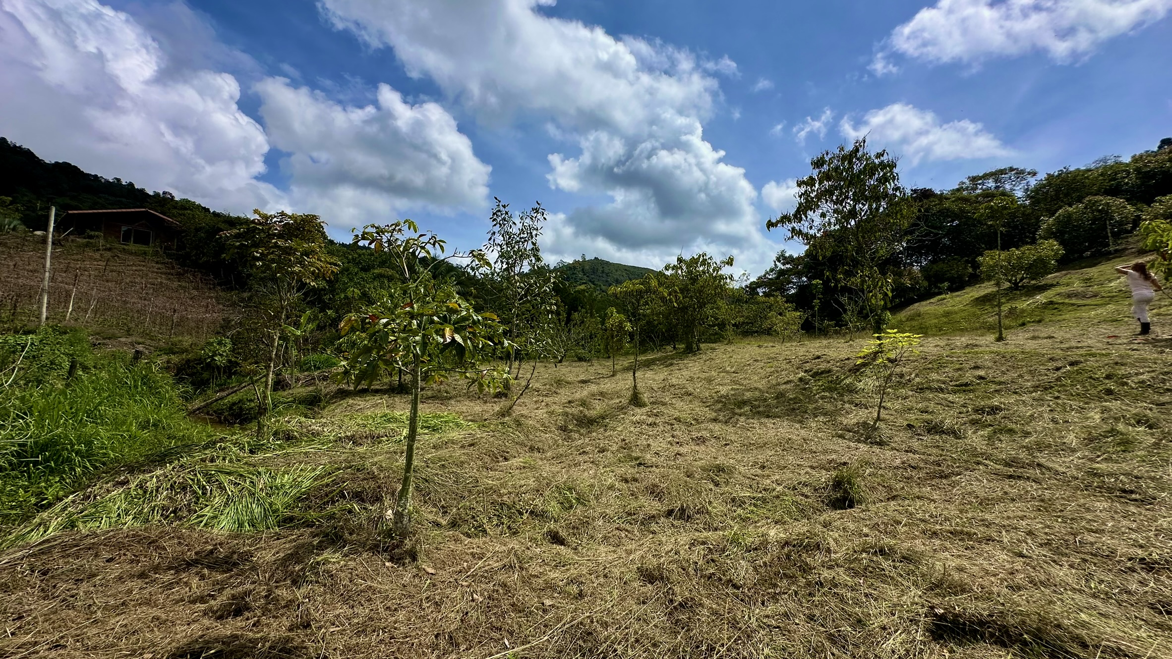 Lote en venta. San Vicente, Vereda Juan XXIII.