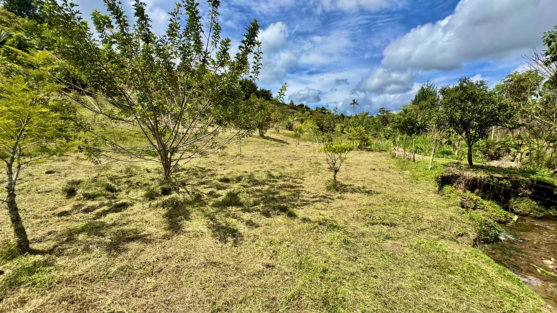 Lote en venta. Guarne, Vereda Juan XXIII.