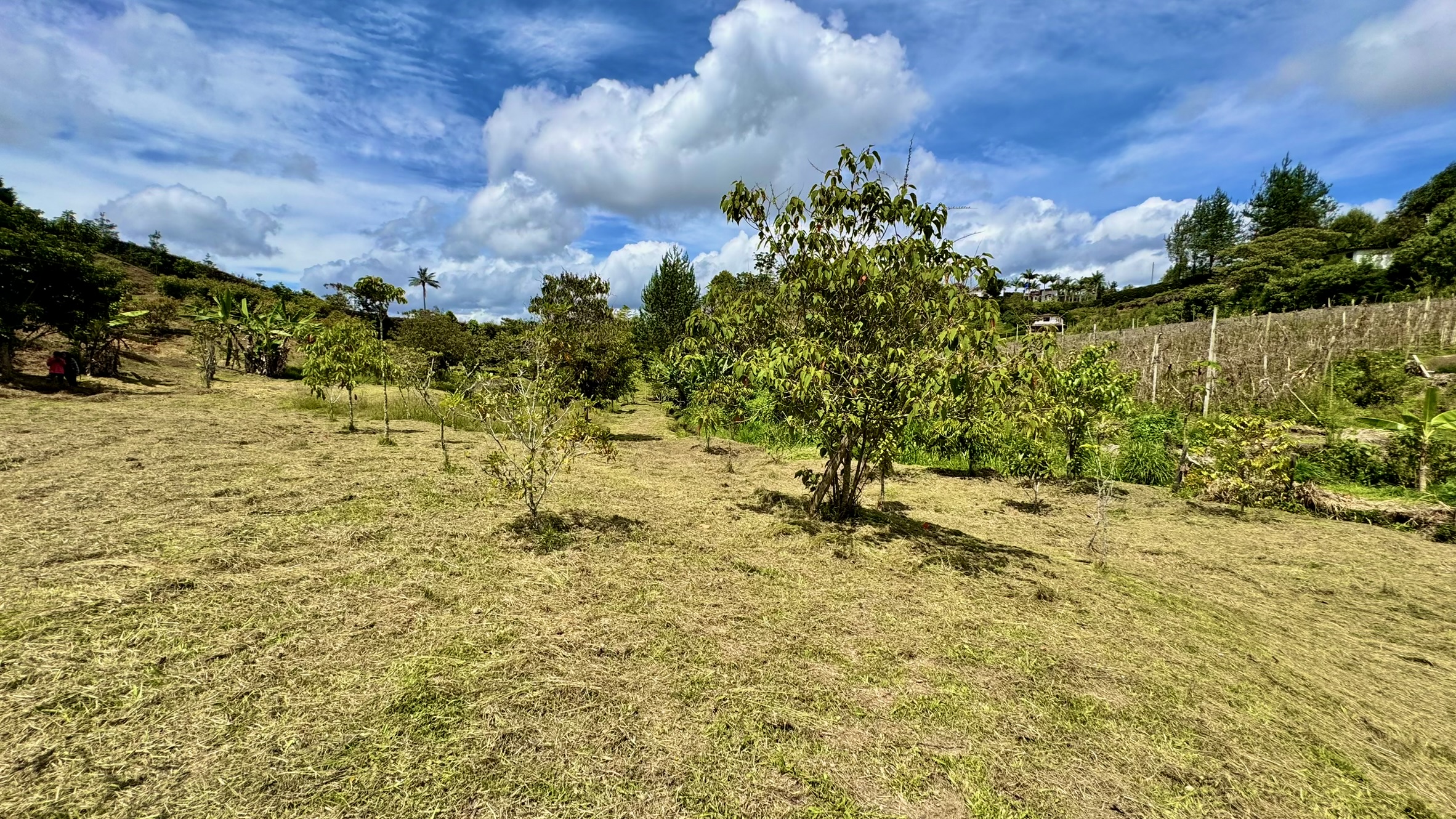Lote en venta. Guarne, Vereda Juan XXIII.