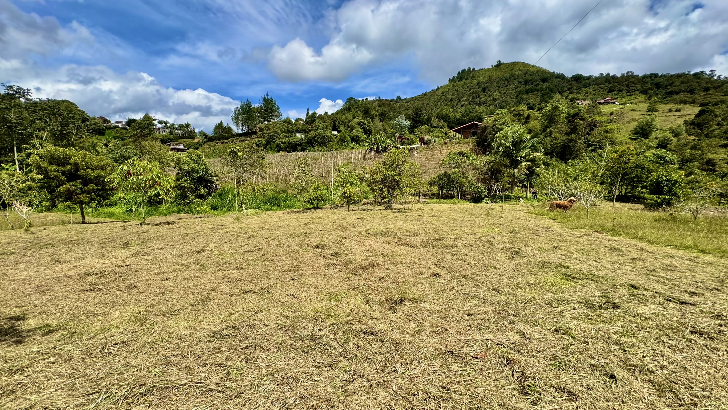 Lote en venta. Guarne, Vereda Juan XXIII.