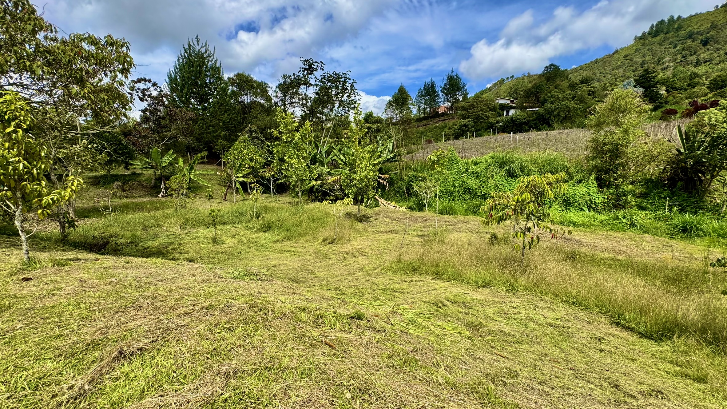 Lote en venta. Guarne, Vereda Juan XXIII.
