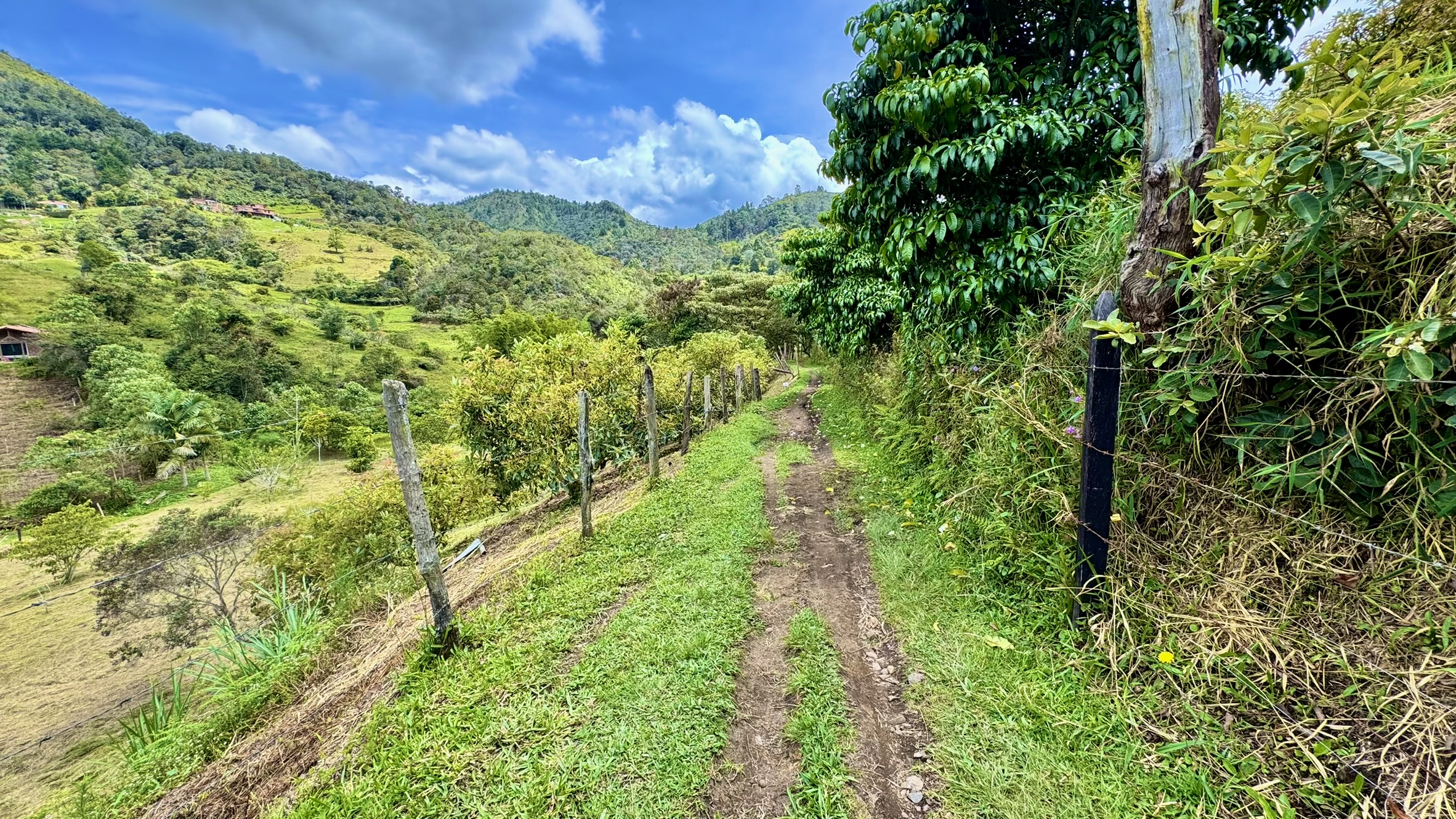 Lote en venta. Guarne, Vereda Juan XXIII.