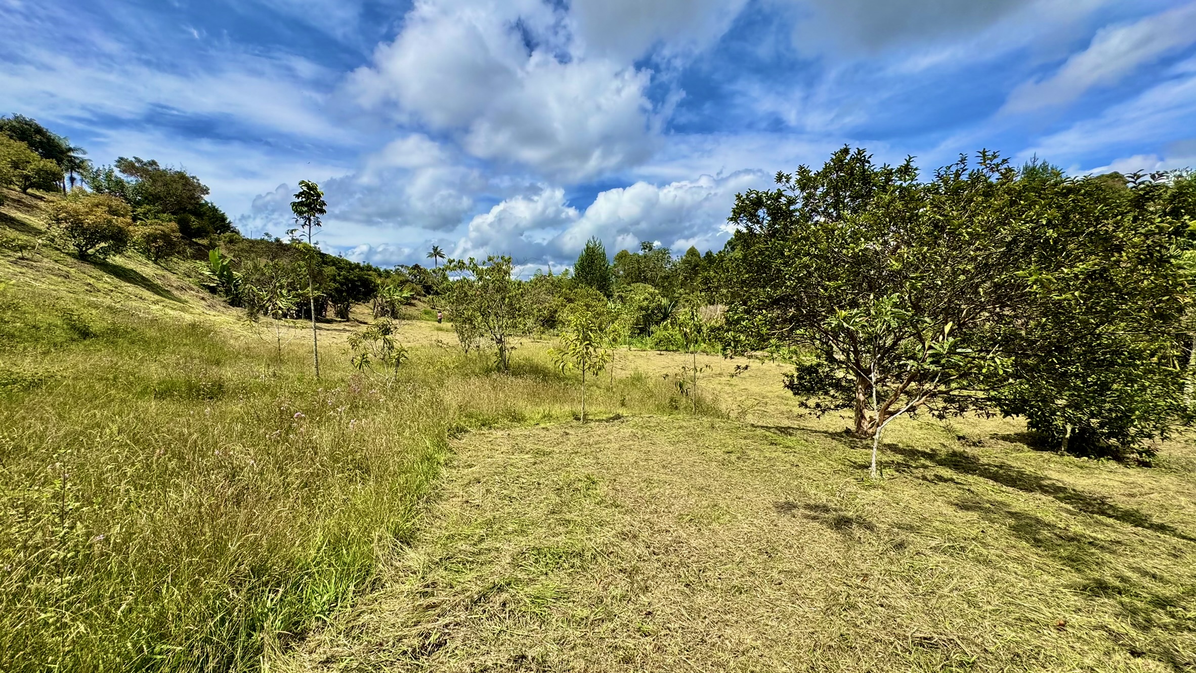 Lote en venta. Guarne, Vereda Juan XXIII.