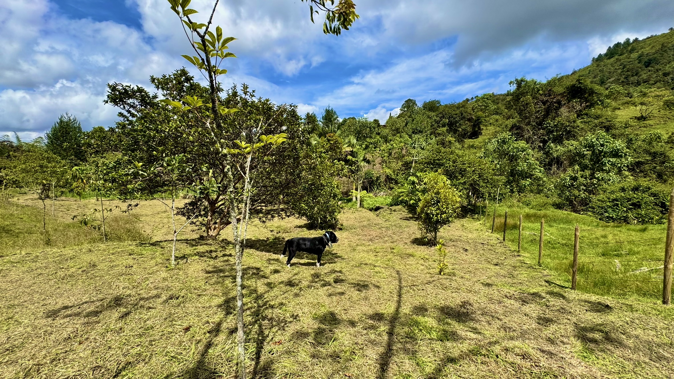 Lote en venta. Guarne, Vereda Juan XXIII.