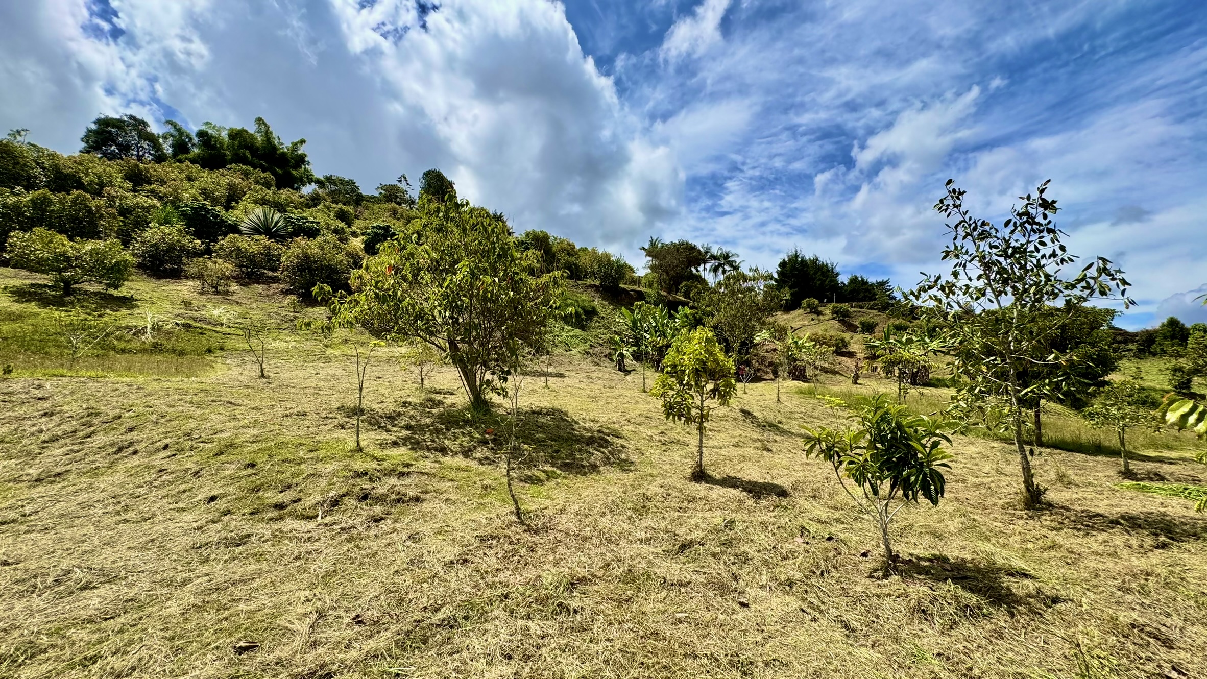 Lote en venta. Guarne, Vereda Juan XXIII.