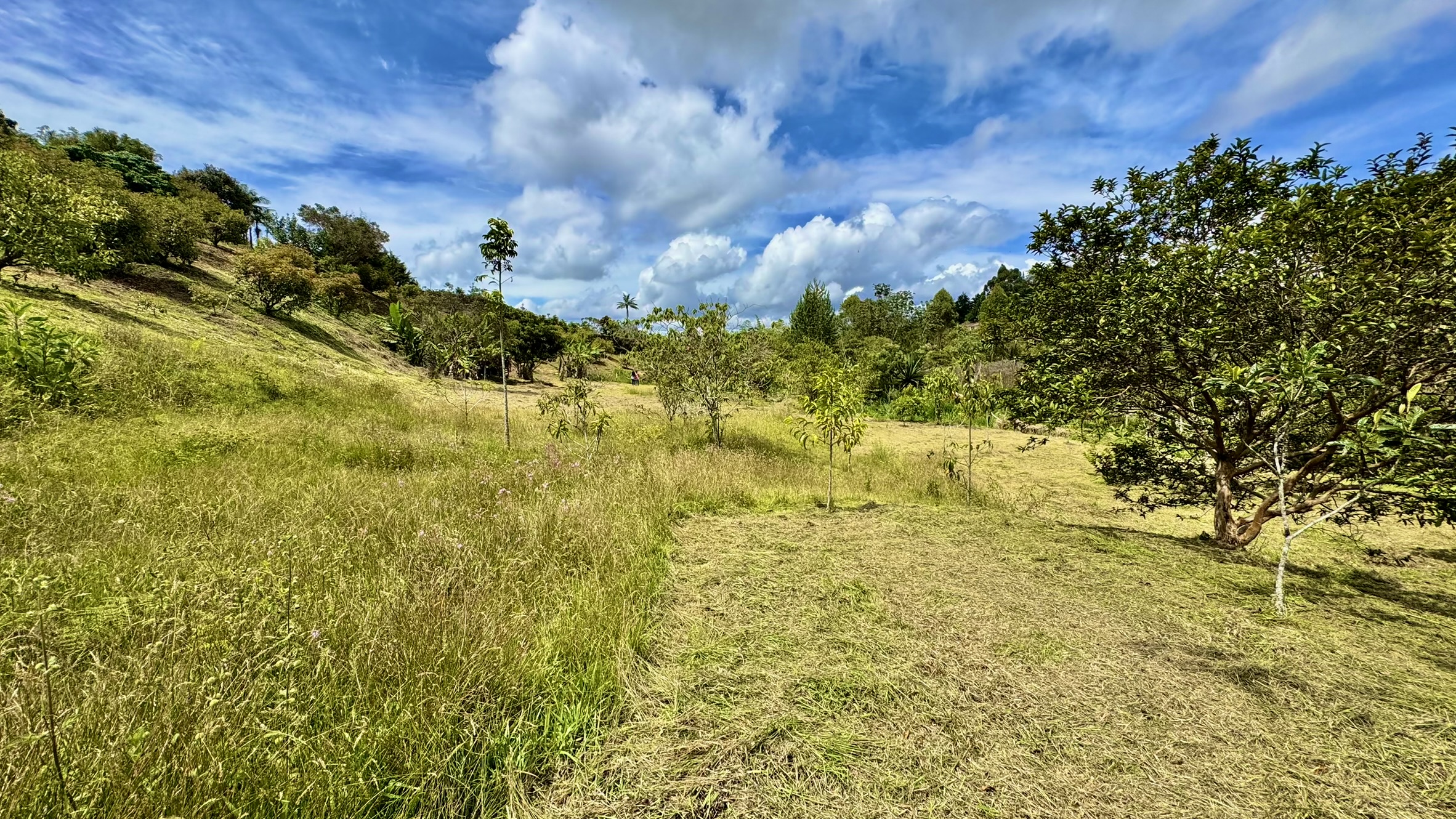 Lote en venta. Guarne, Vereda Juan XXIII.