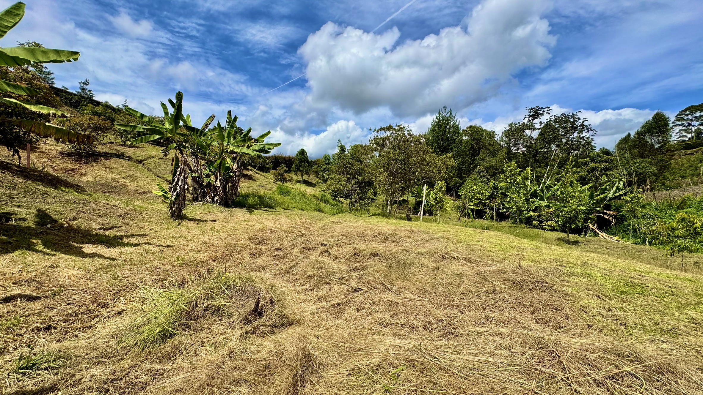 Lote en venta. Guarne, Vereda Juan XXIII.