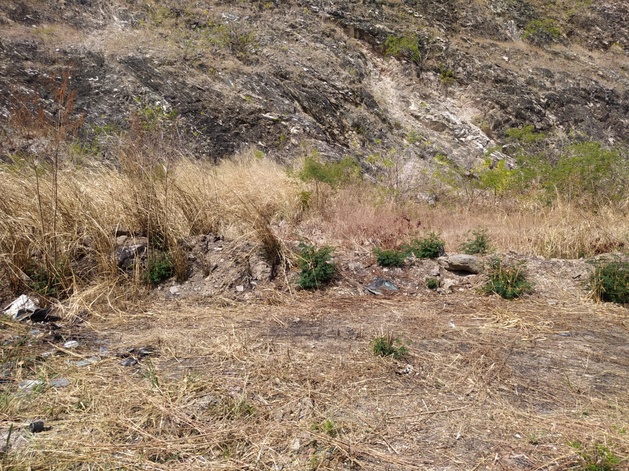 Terreno en Venta Castillito (av.Don Julio Centeno) MAZ 5511204 - Foto 8