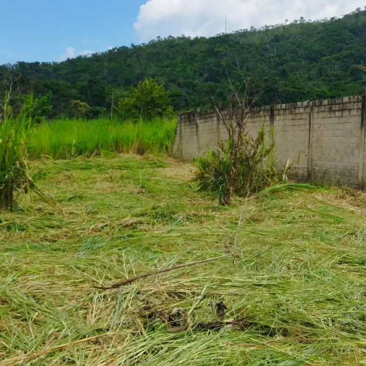 TERRENO EN VENTA EN SAN DIEGO EDO. CARABOBO AG-6994502 - Foto 1