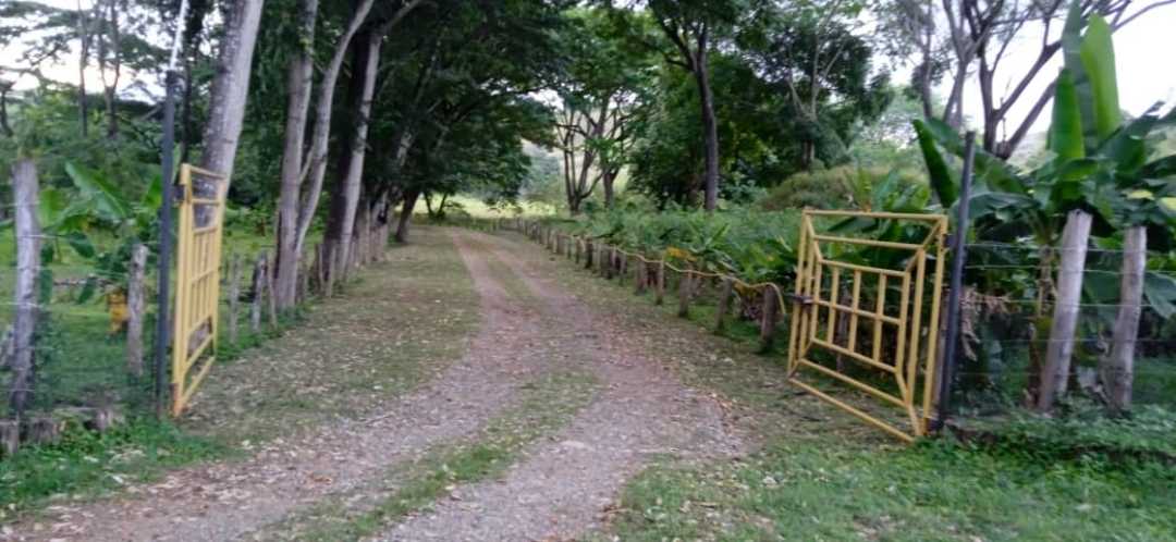 FINCA EN VENTA TINAQUILLO EDO COJEDES AG-7027217 - Foto 1