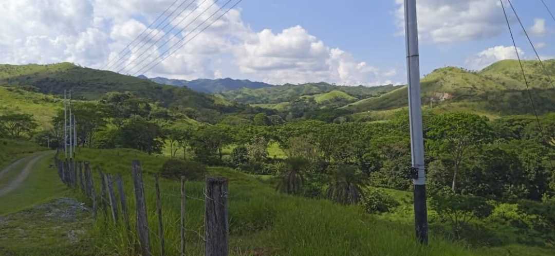 FINCA GANADERA EN VENTA, TINAQUILLO EDO COJEDES AG-7027144 - Foto 2