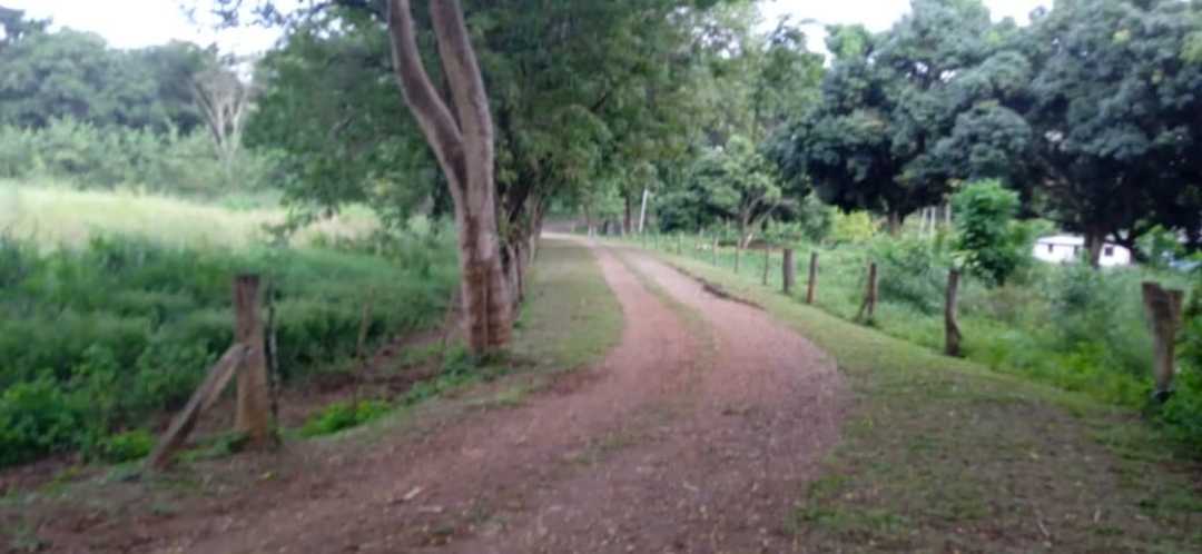 FINCA GANADERA EN VENTA, TINAQUILLO EDO COJEDES AG-7027144 - Foto 5