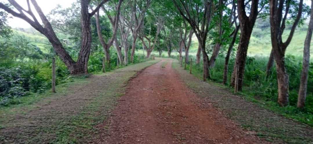 FINCA GANADERA EN VENTA, TINAQUILLO EDO COJEDES AG-7027144 - Foto 6