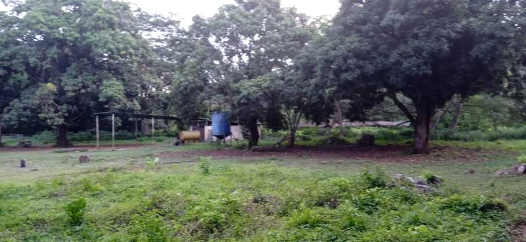 FINCA GANADERA EN VENTA, TINAQUILLO EDO COJEDES AG-7027144 - Foto 7