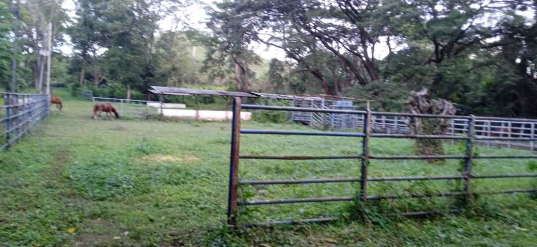 FINCA GANADERA EN VENTA, TINAQUILLO EDO COJEDES AG-7027144 - Foto 8