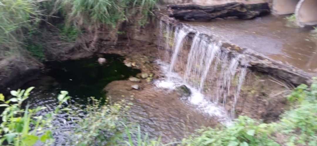 FINCA GANADERA EN VENTA, TINAQUILLO EDO COJEDES AG-7027144 - Foto 10