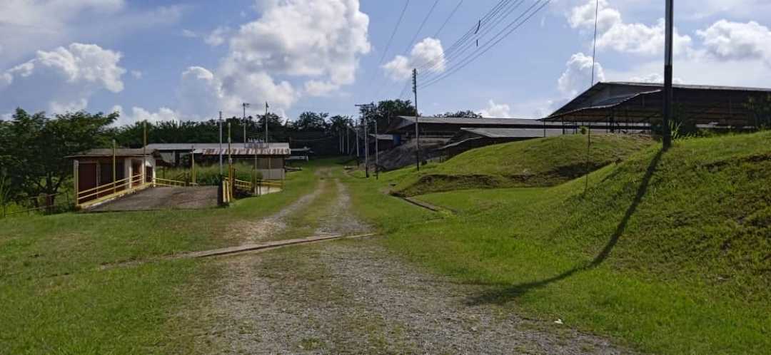 FINCA EN VENTA TINAQUILLO EDO COJEDES AG-7027217 - Foto 5