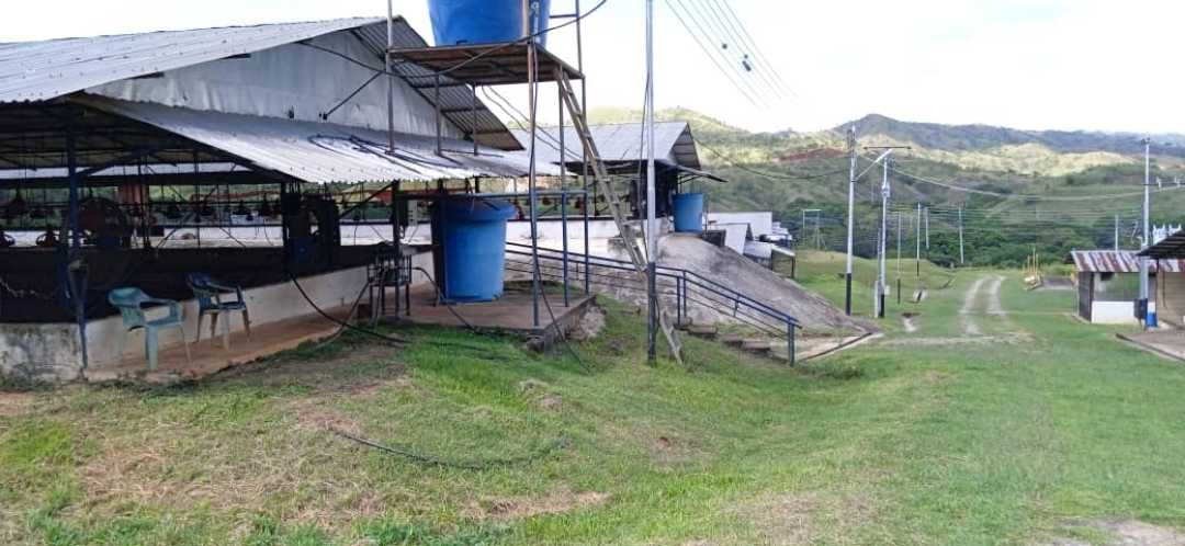 FINCA EN VENTA TINAQUILLO EDO COJEDES AG-7027217 - Foto 6