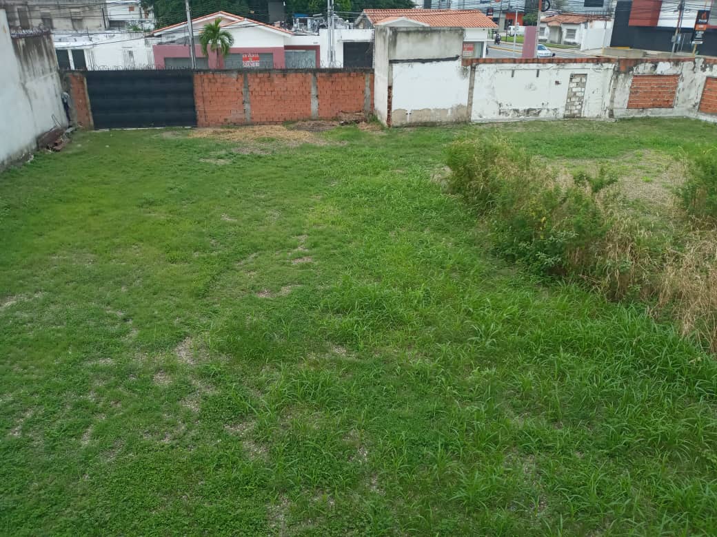 Terreno en Alquiler en el Viñedo MC-8370088 - Foto 5