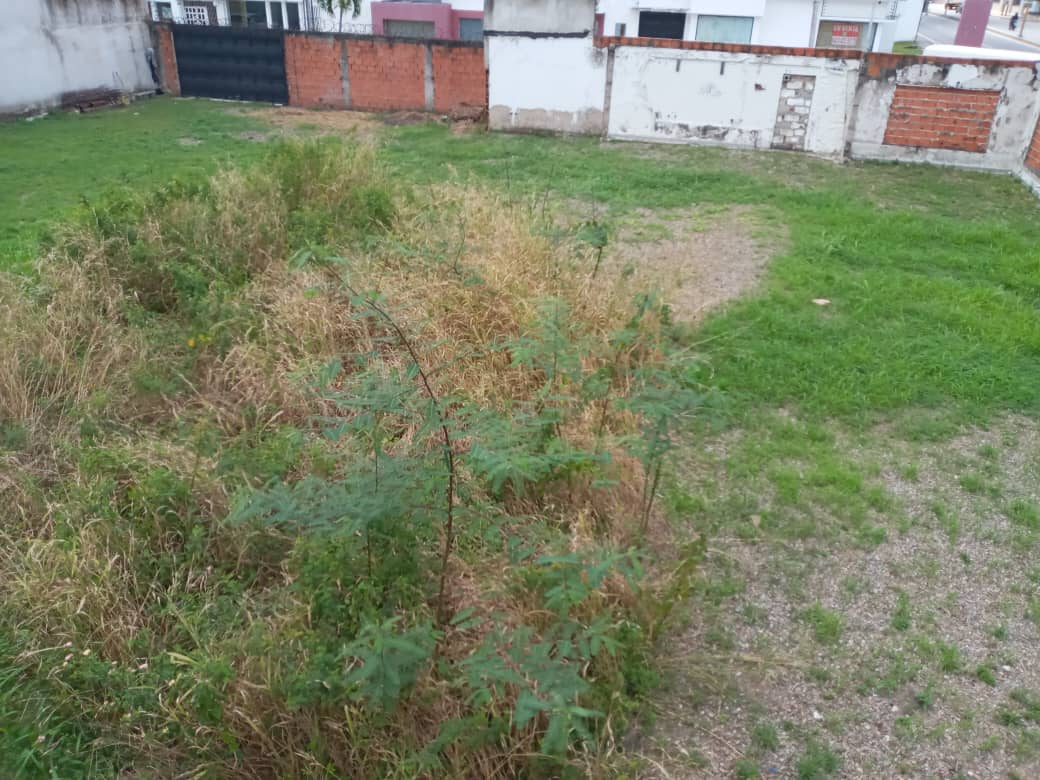 Terreno en Alquiler en el Viñedo MC-8370088 - Foto 10