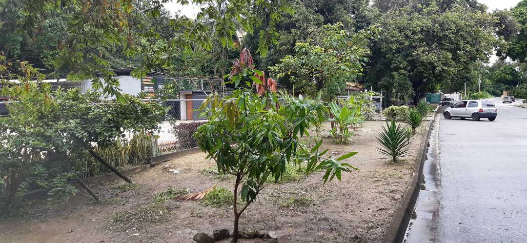 Terreno En Venta Sector La ceiba Av. Paseo Cabriales Norte JO-7146520 - Foto 4