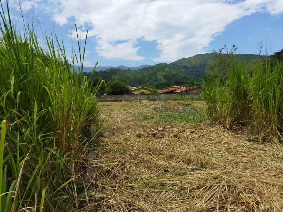 TERRENO EN VENTA EN SAN DIEGO EDO. CARABOBO AG-6994502 - Foto 2