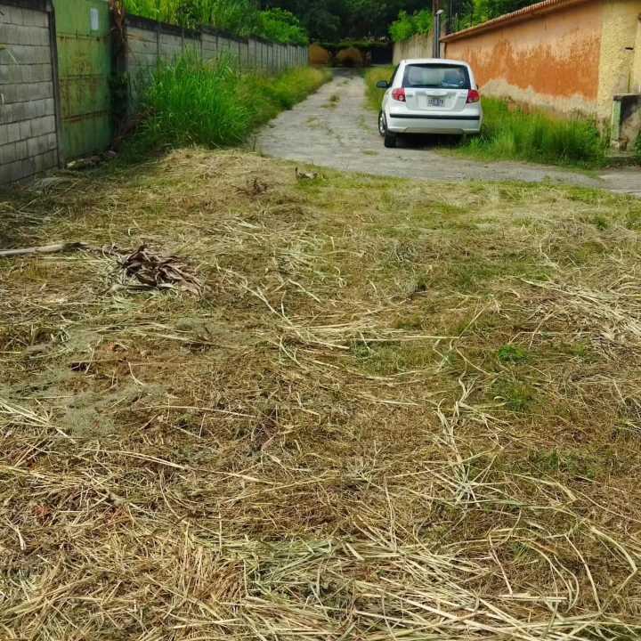 TERRENO EN VENTA EN SAN DIEGO EDO. CARABOBO AG-6994502 - Foto 3