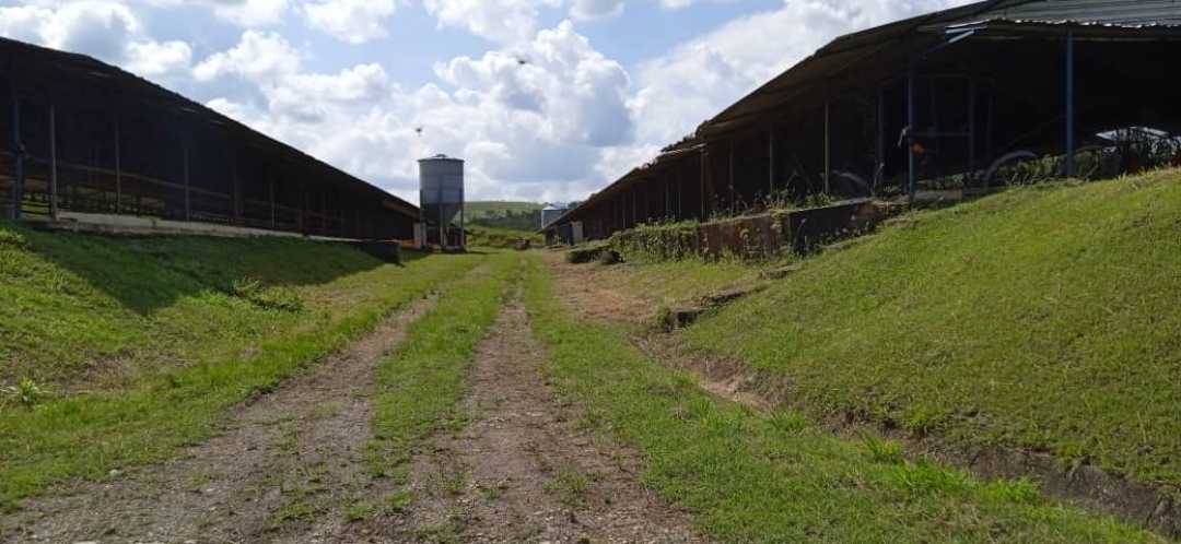 GRANJA AVÍCOLA EN VENTA, TINAQUILLO EDO COJEDES AG-7026866 - Foto 4