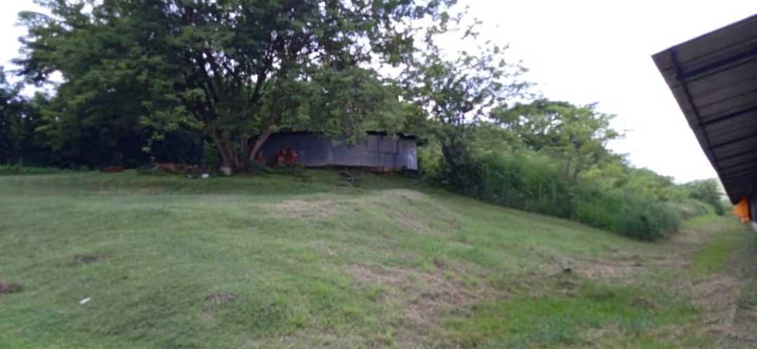 GRANJA AVÍCOLA EN VENTA, TINAQUILLO EDO COJEDES AG-7026866 - Foto 8