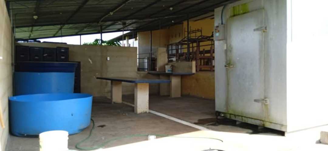 GRANJA AVÍCOLA EN VENTA, TINAQUILLO EDO COJEDES AG-7026866 - Foto 9