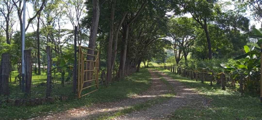 GRANJA AVÍCOLA EN VENTA, TINAQUILLO EDO COJEDES AG-7026866 - Foto 10
